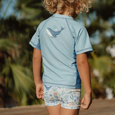 Little Dutch - Swim T-Shirt, Short Sleeves - Blue Whale - Swanky Boutique