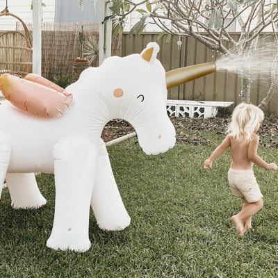 Pool Toys & Inflatables