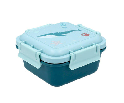 Lunchboxes for Kids - Swanky Boutique Malta