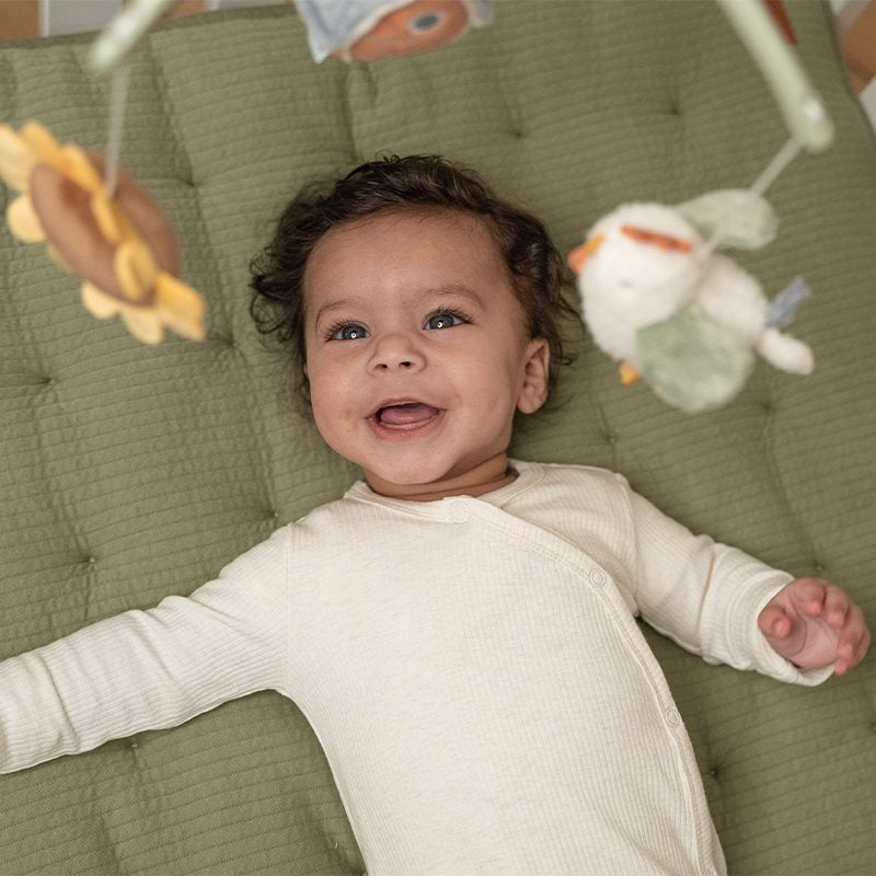 Swanky boutique Cot Mobile, Musical - Little Farm Little Dutch