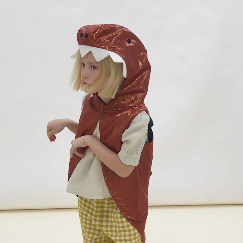 Meri Meri - Dinosaur Costume - Swanky Boutique