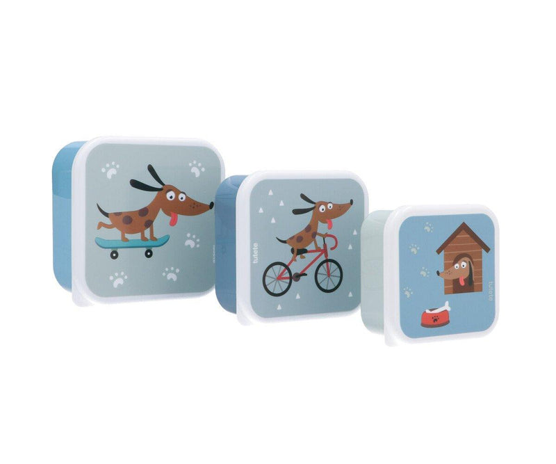 Tutete - Lunch Box Set of 3 different sizes Skater Dog - Swanky Boutique