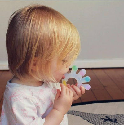 Haakaa - Teether, Silicone Palm - Swanky Boutique