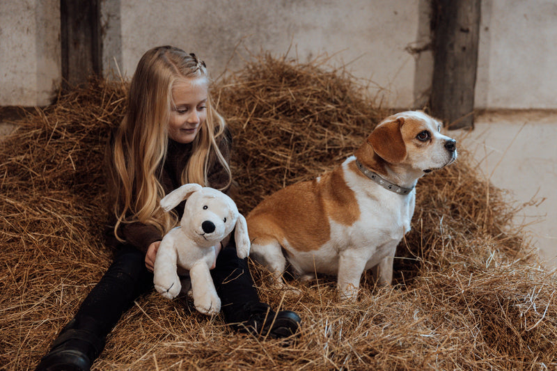 Astrup - Plush Dog With 2 Puppies - Swanky Boutique Malta 