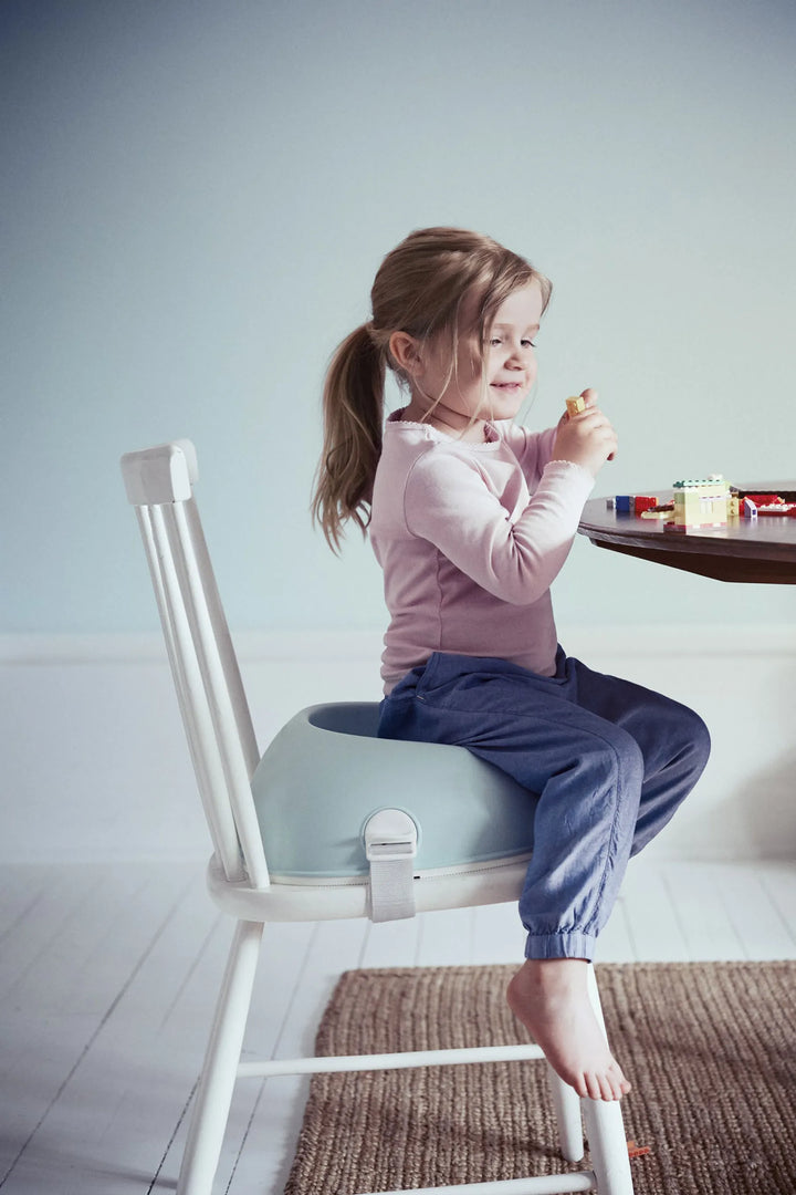 Baby bjorn booster seat review sales