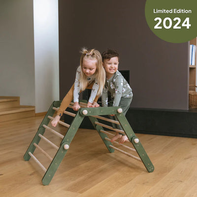 Ette Tete Pikler Triangle - Modifiable climbing frame MOPITRI (No Ramp) - Green - Swanky Boutique