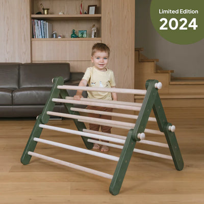 Ette Tete Pikler Triangle - Modifiable climbing frame MOPITRI (No Ramp) - Green - Swanky Boutique