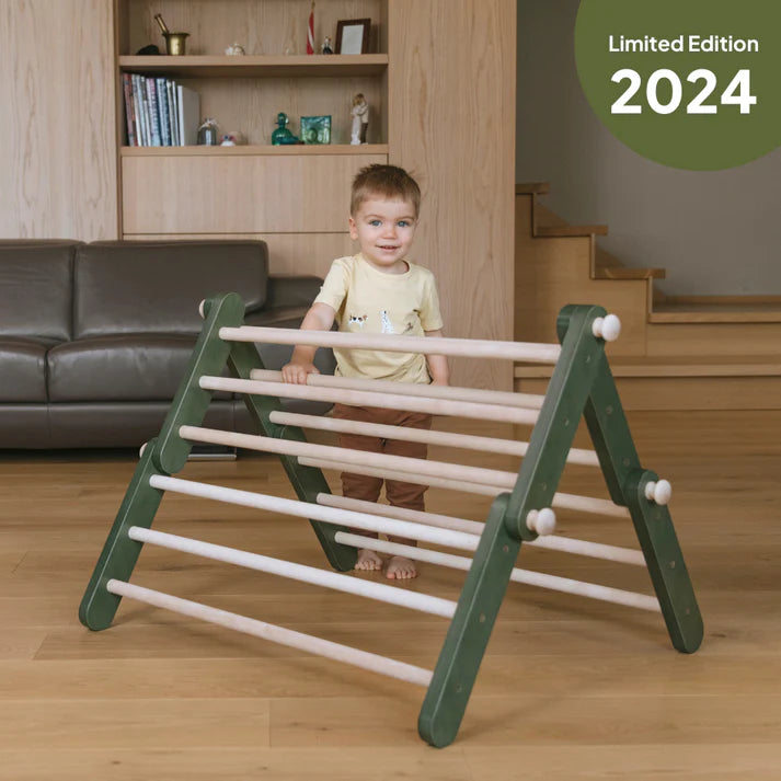 Ette Tete Pikler Triangle - Modifiable climbing frame MOPITRI (No Ramp) - Green - Swanky Boutique