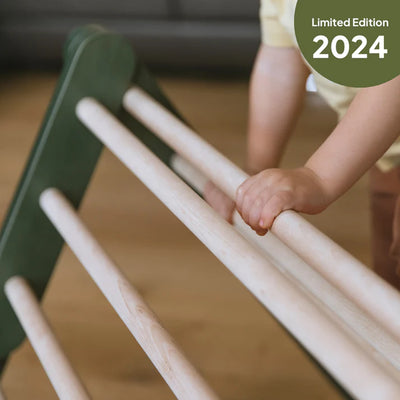 Ette Tete Pikler Triangle - Modifiable climbing frame MOPITRI (No Ramp) - Green - Swanky Boutique