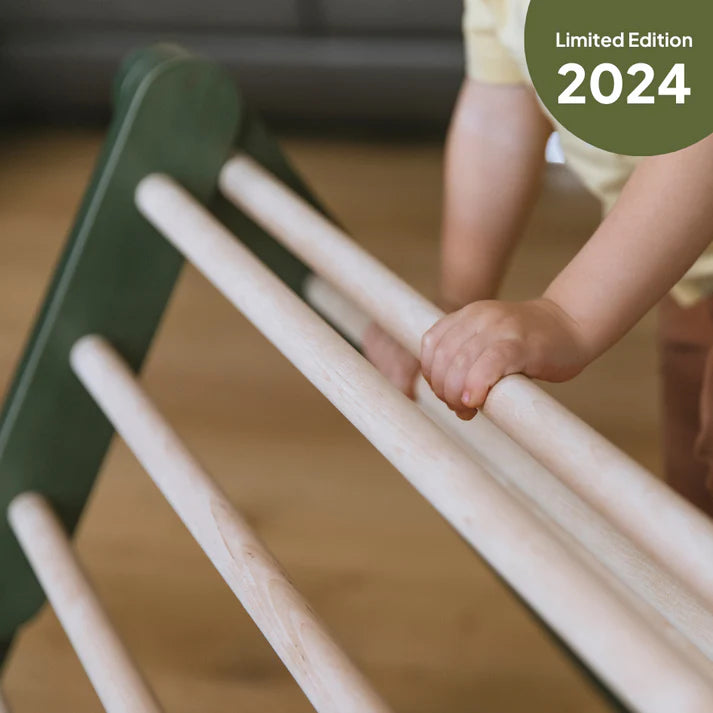 Ette Tete Pikler Triangle - Modifiable climbing frame MOPITRI (No Ramp) - Green - Swanky Boutique