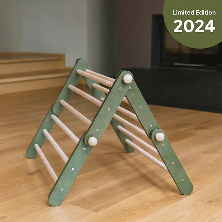 Ette Tete Pikler Triangle - Modifiable climbing frame MOPITRI (No Ramp) - Green - Swanky Boutique