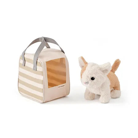 Cat & Carrier Bag