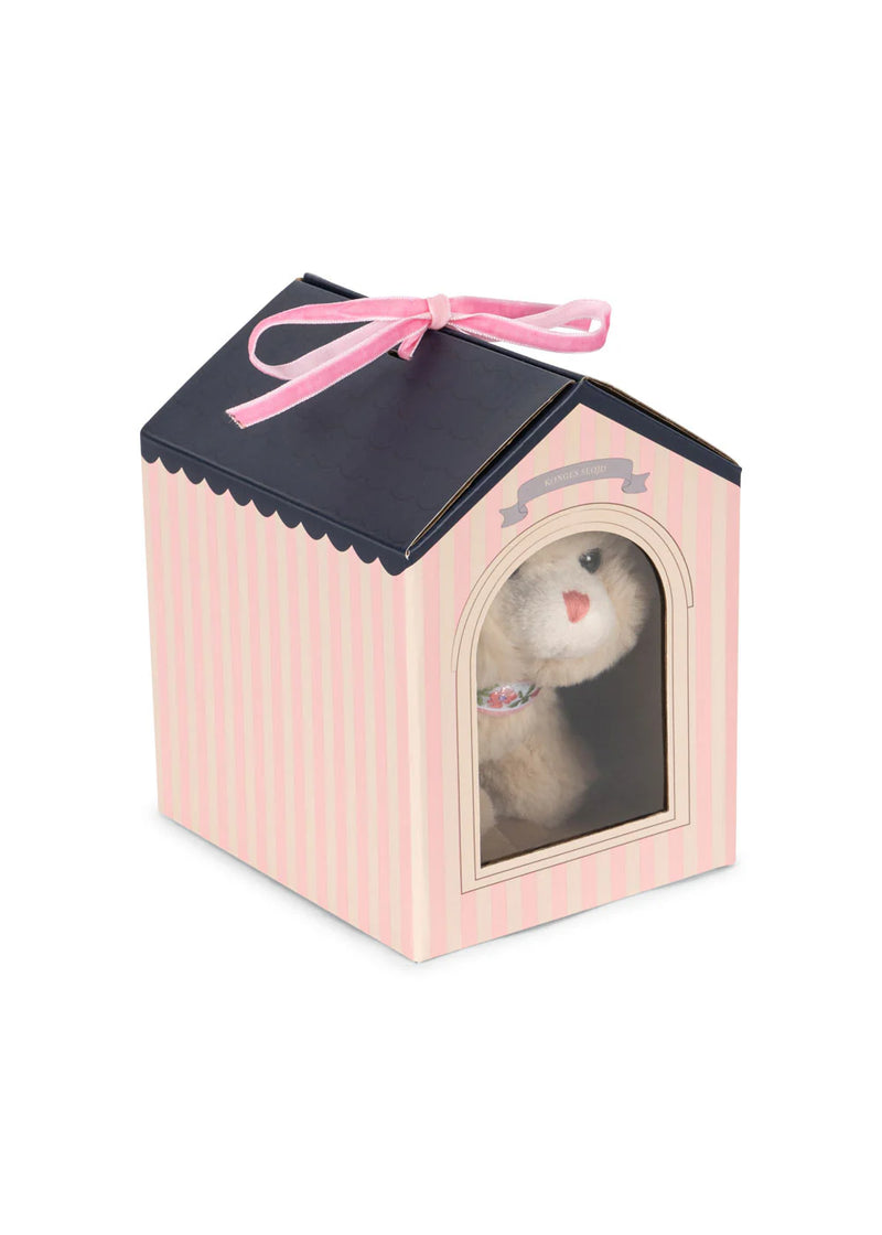 Pet Kitty with Home & Leash