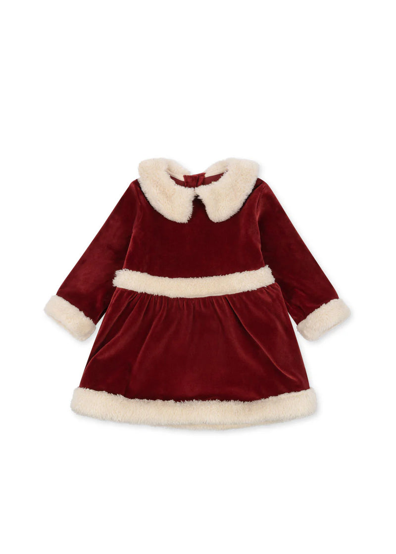 Christmas Dress