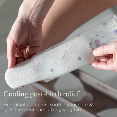 Lansinoh Postpartum Padsicles - Swanky Boutique