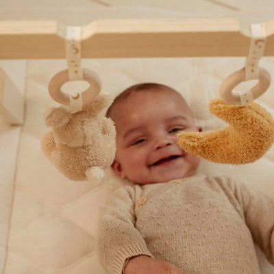 Little Dutch-Baby Gym, Wooden - Newborn Naturals-Swanky Boutique Malta 