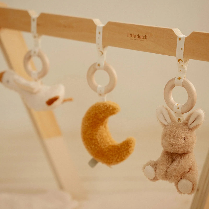 Little Dutch-Baby Gym, Wooden - Newborn Naturals-Swanky Boutique Malta 