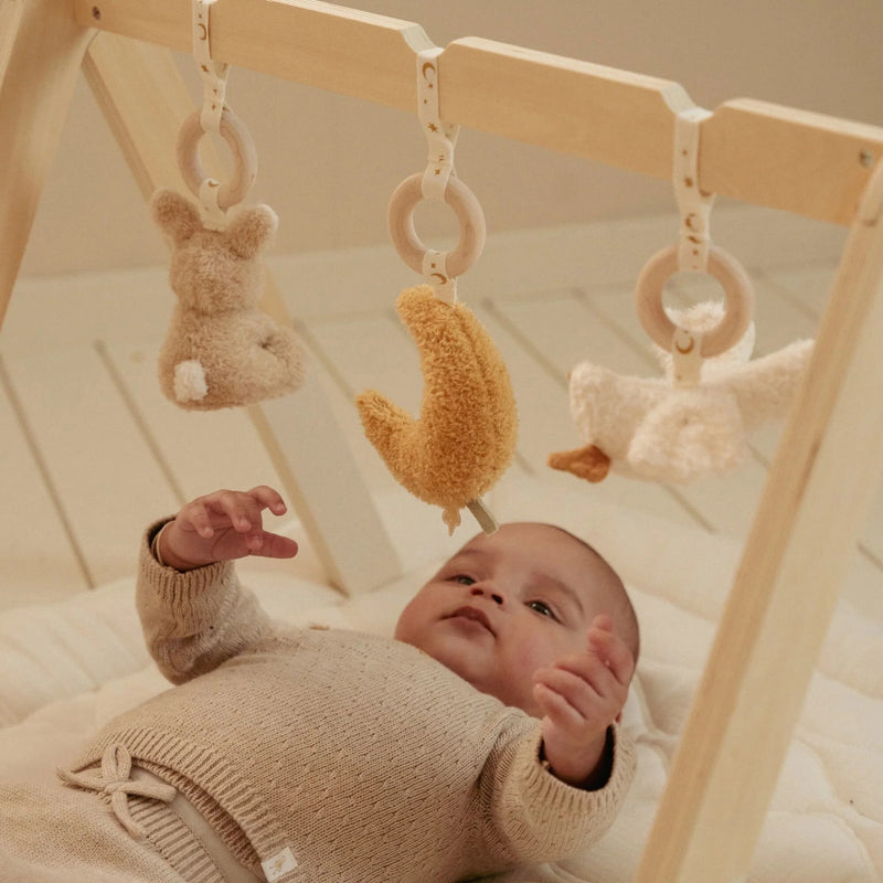 Little Dutch-Baby Gym, Wooden - Newborn Naturals-Swanky Boutique Malta 
