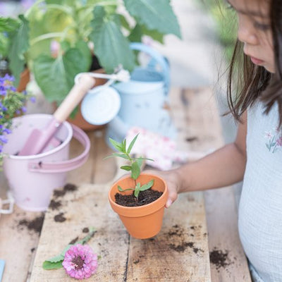 Little Dutch Bucket Fairy Garden - Swanky Boutique 