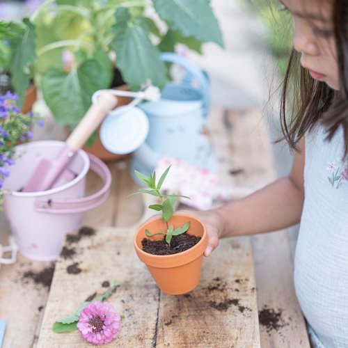 Little Dutch Bucket Fairy Garden - Swanky Boutique 