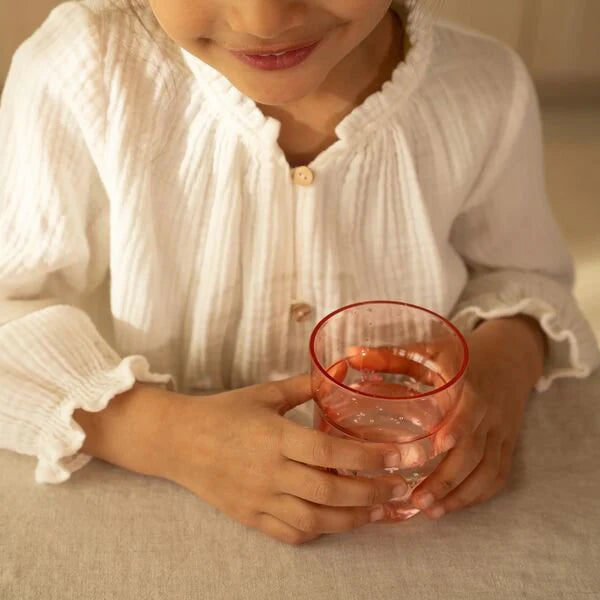 Little Dutch Children&