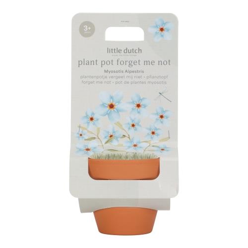 Little Dutch Plant Pot Forget Me Not - Swanky Boutique