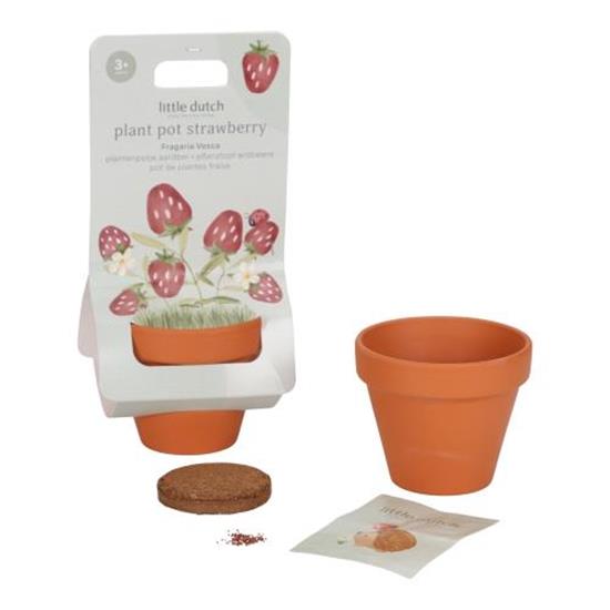 Little Dutch Plant Pot Strawberry - Swanky Boutique