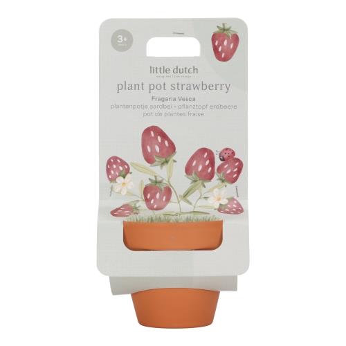 Little Dutch Plant Pot Strawberry - Swanky Boutique