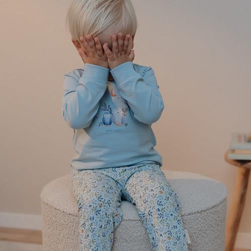 Little Dutch Two-piece Pyjamas Forest Treasures - Swanky Boutique