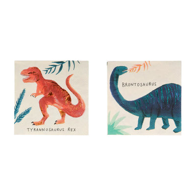 Meri Meri Dinosaur Kingdom Small - Swanky Boutique