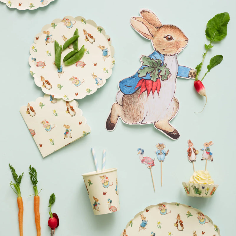 Meri Meri Party Plates, 12-Pack - Peter Rabbit- Swanky Boutique Malta