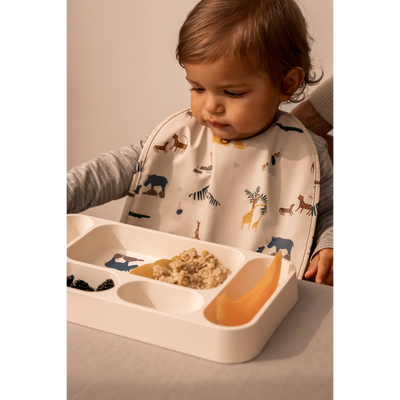 Mosu Divider Plate - Peach Sea Shell