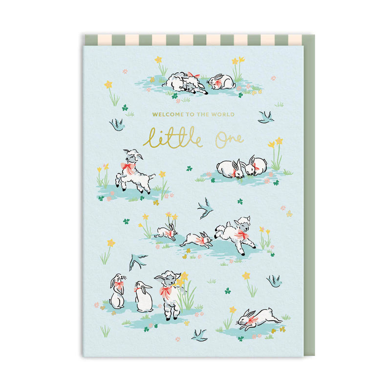 Ohh Deer - Greeting Card  Hello Little One Lambs - Swanky Boutique Malta 