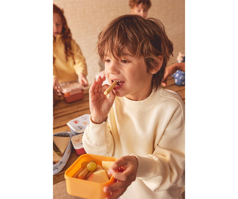 Lunch Boxes, Set of 3 Different Sizes - Funny Letters