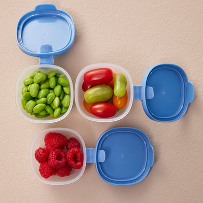 b.box snack tubs - ocean - Swanky Boutique