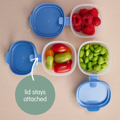 b.box snack tubs - ocean - Swanky Boutique