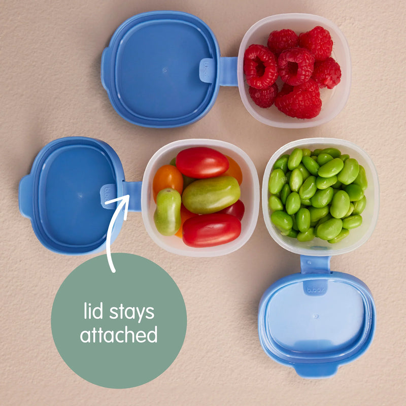 b.box snack tubs - ocean - Swanky Boutique