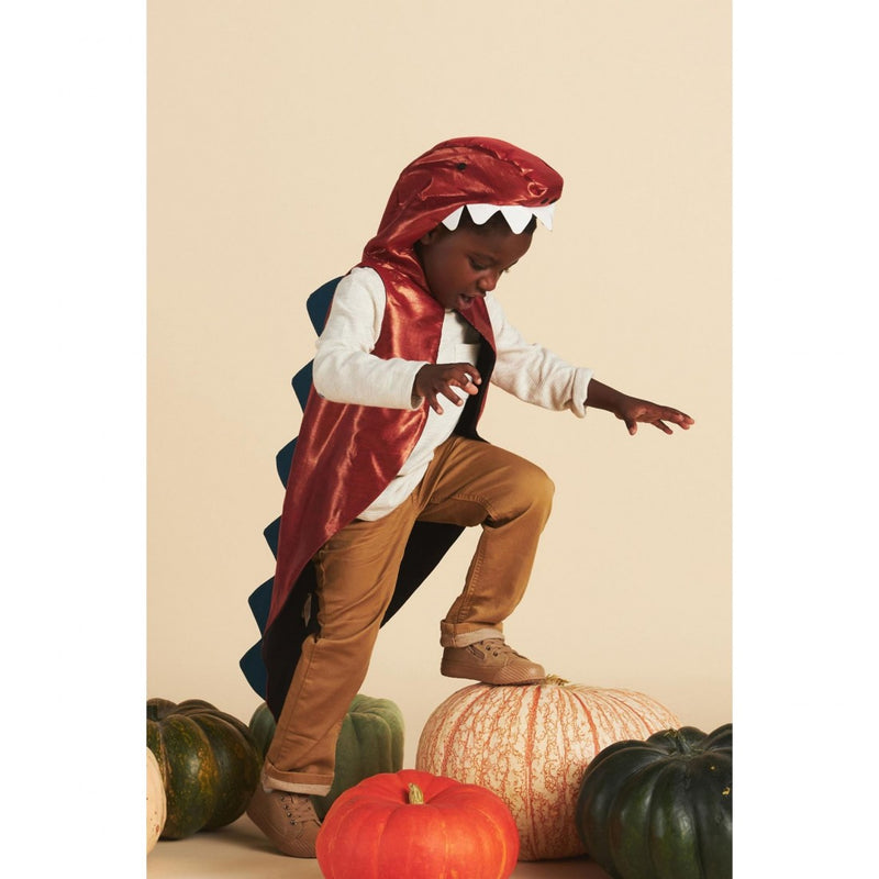 Meri Meri - Dinosaur Costume - Swanky Boutique