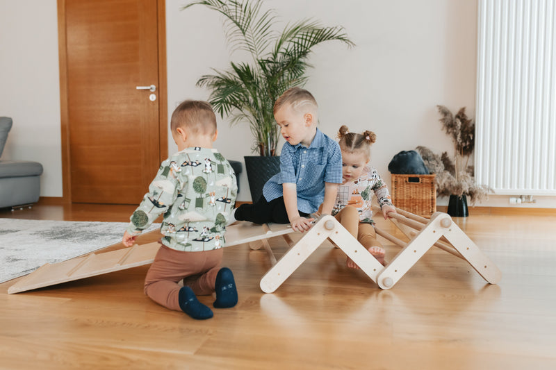 Ette Tete - Pikler Triangle Modifiable Climbing Frame MOPITRI (Incl 1 Ramp) - Swanky Boutique