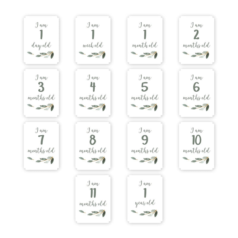 First Year Kit - Milestone Swaddle + 14 Cards - &