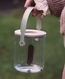 Insect Jar with Magnifier