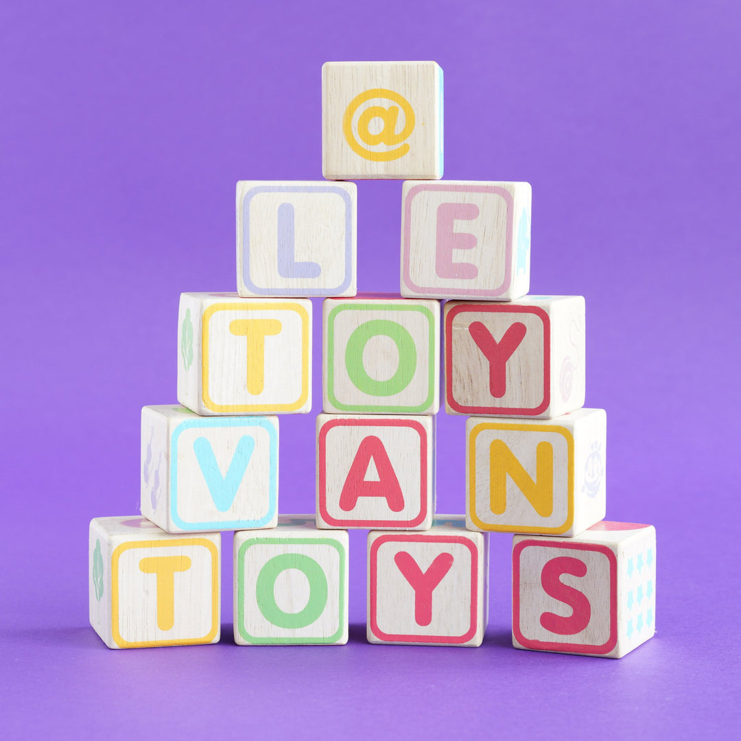 ABC Learning Blocks 30 Pieces 12 Months Swanky Boutique