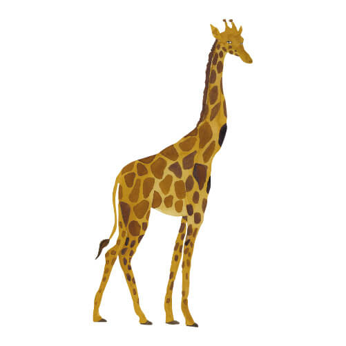 Wall Sticker - Giraffe Big
