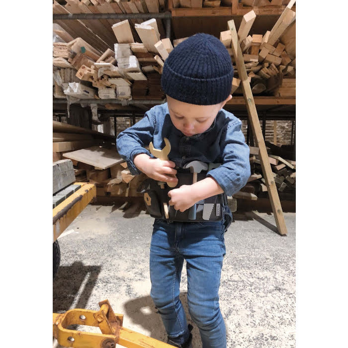 Tool Belt including Tools