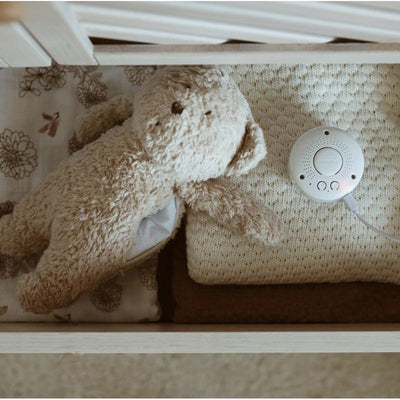 Moonie - Humming Bear with Light & Cry Sensor Sand - Swanky Boutique