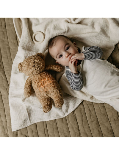 Humming Bear with Light & Cry Sensor - Cappuccino