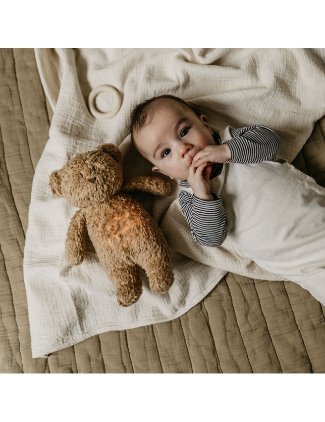 Humming Bear with Light & Cry Sensor - Cappuccino